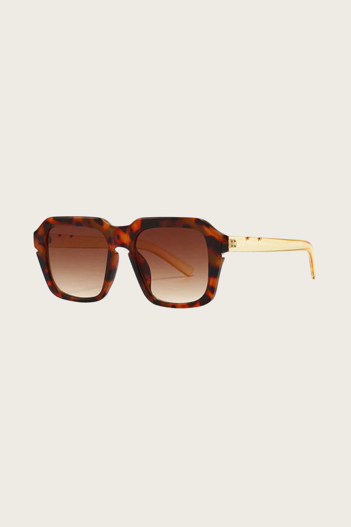 Rounded Square Sunglasses